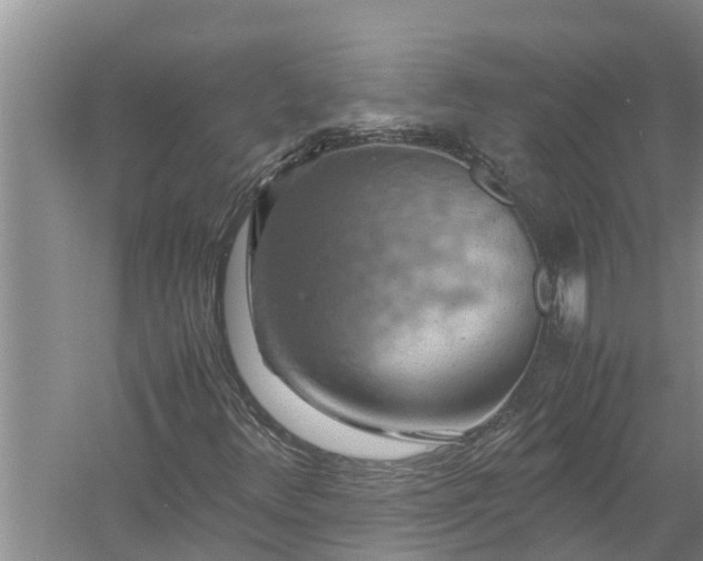 X0000058131348200510071954