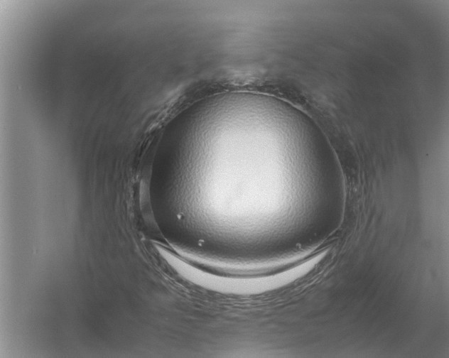 X0000058131349200510071954