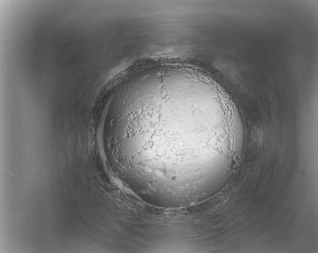 X0000058131350200510071954