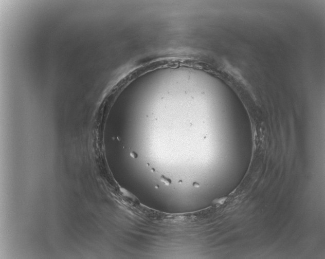 X0000058131352200510071954