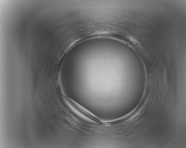 X0000058131353200510071954