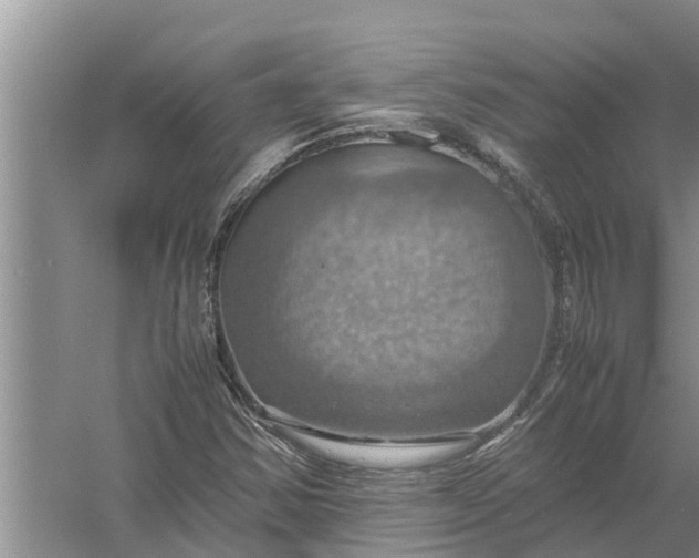 X0000058131354200510071954