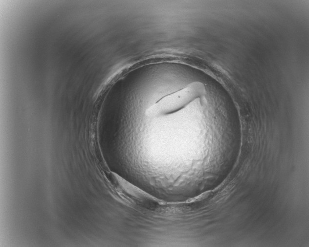 X0000058131355200510071954