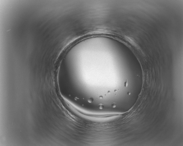 X0000058131356200510071954