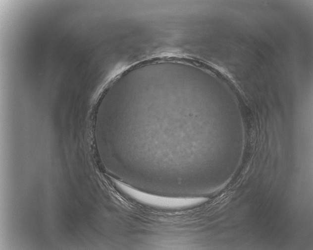 X0000058131359200510071954