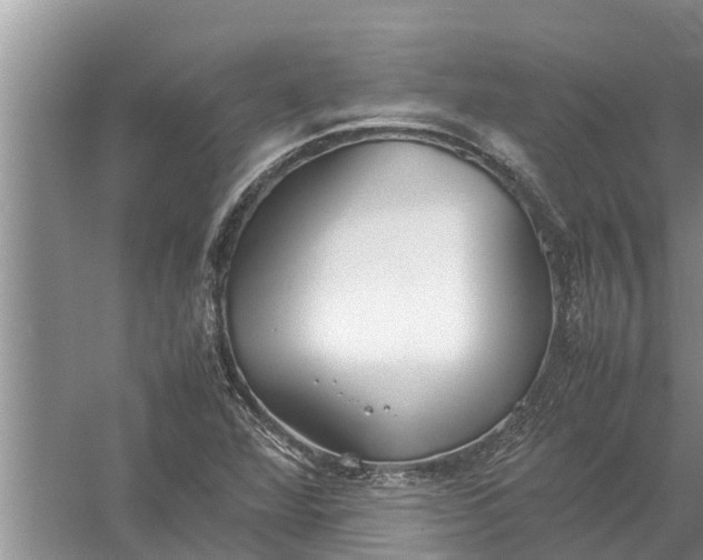 X0000058131360200510071954