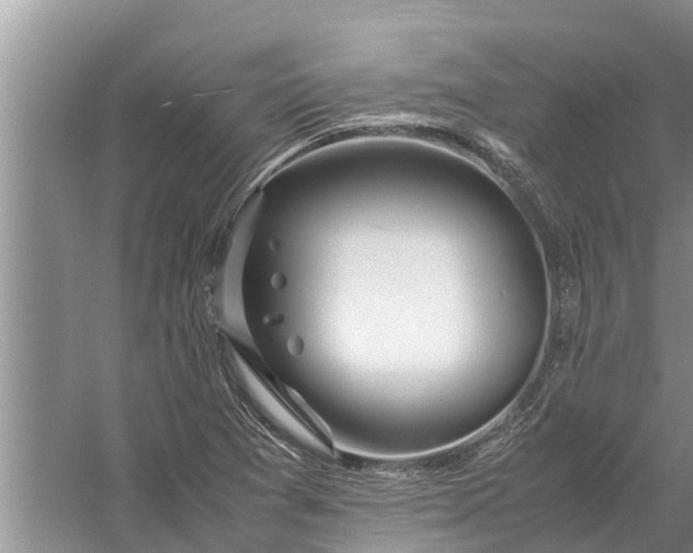 X0000058131361200510071954