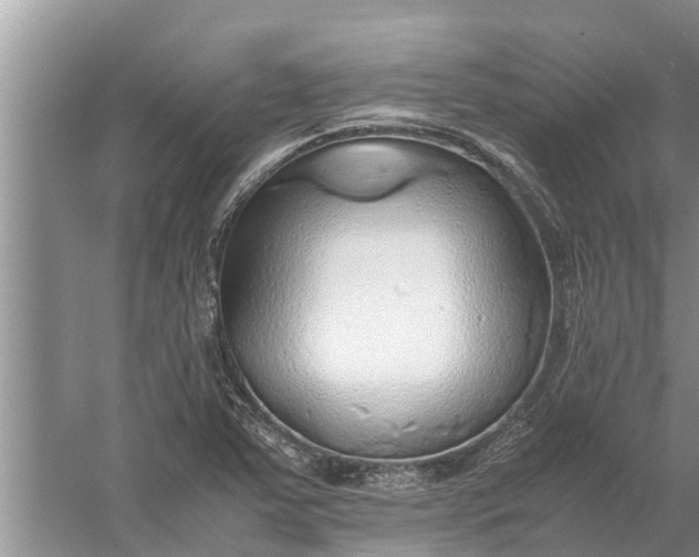 X0000058131363200510071954