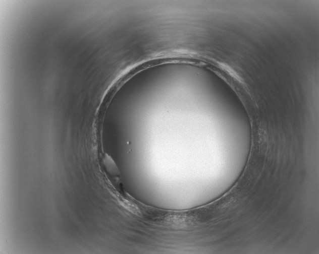 X0000058131364200510071954