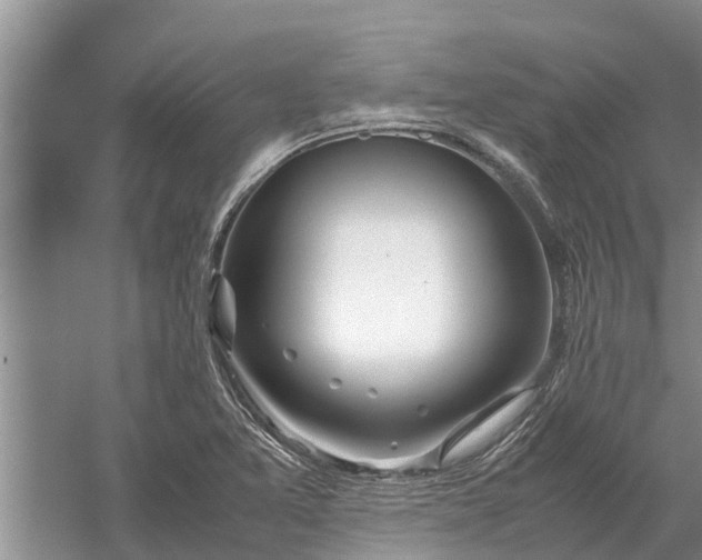 X0000058131365200510071954