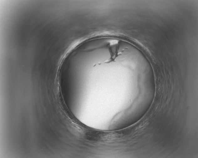 X0000058131367200510071954