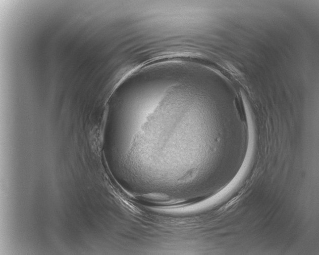 X0000058131369200510071954