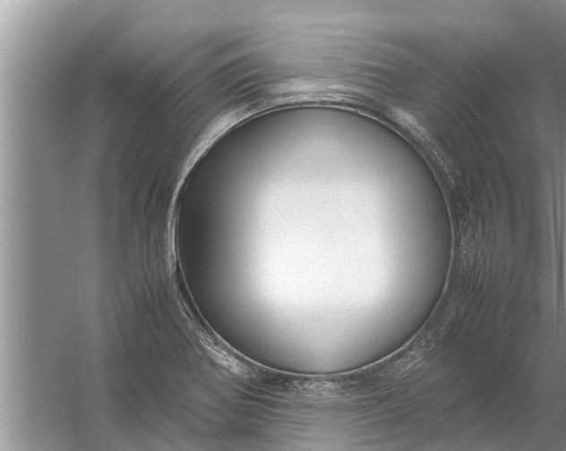 X0000058131370200510071954