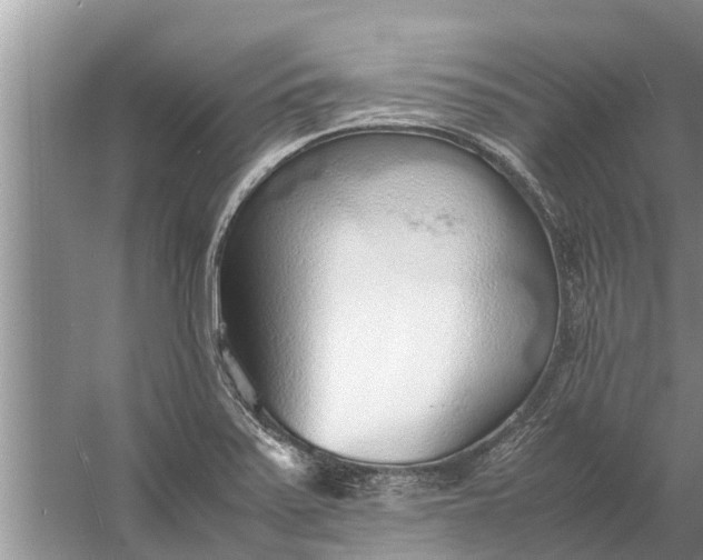 X0000058131371200510071954