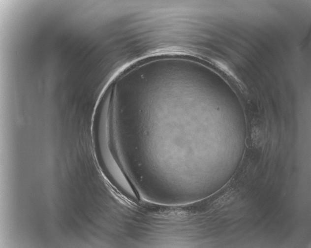 X0000058131372200510071954