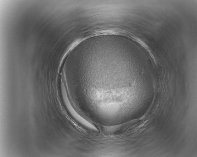 X0000058131373200510071954