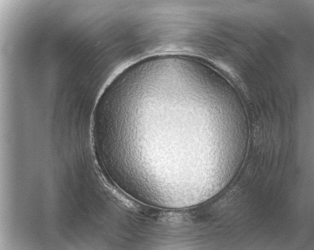 X0000058131374200510071954