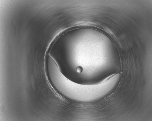 X0000058131376200510071954