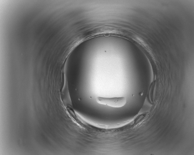 X0000058131377200510071954