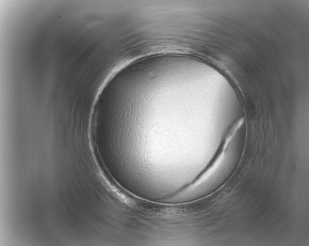 X0000058131379200510071954