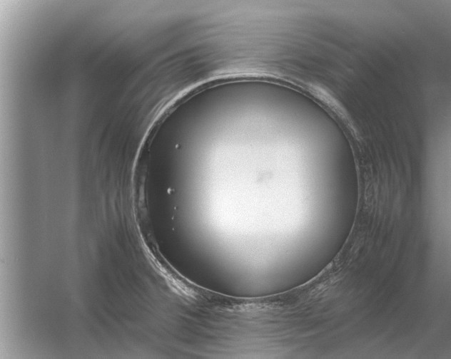 X0000058131380200510071954