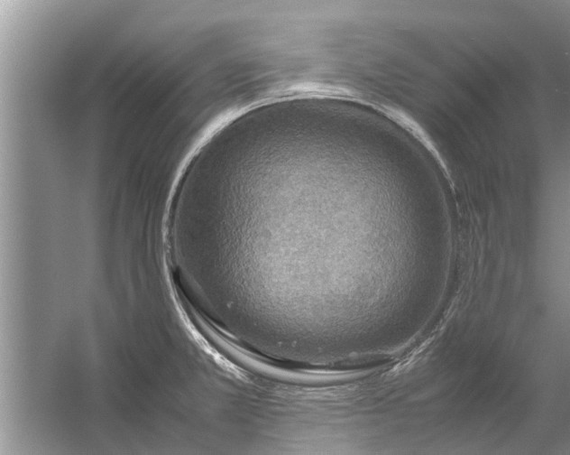 X0000058131381200510071954