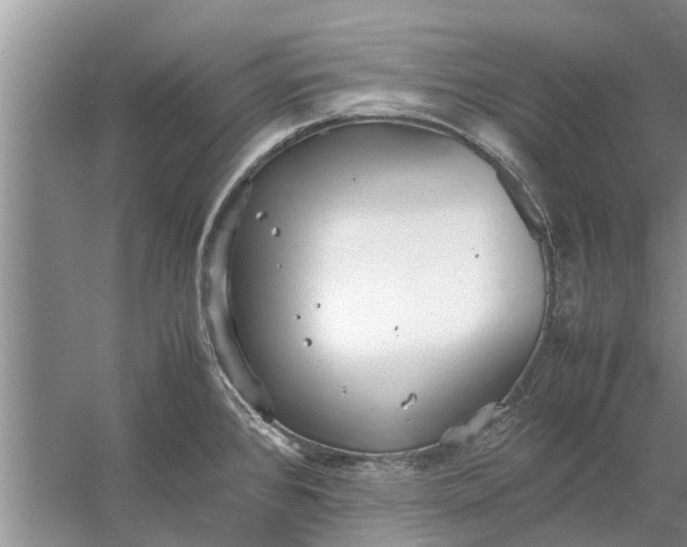 X0000058131384200510071954