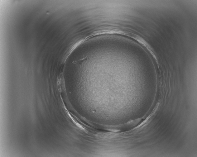 X0000058131385200510071954