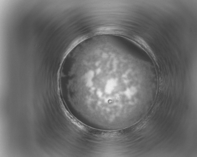 X0000058131386200510071954