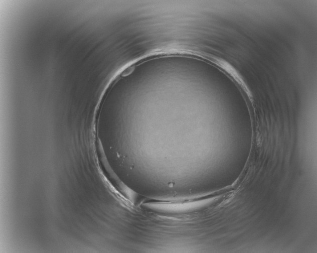 X0000058131388200510071954