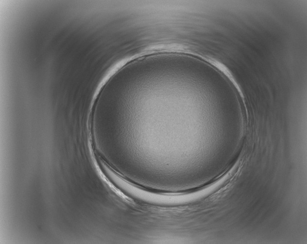 X0000058131389200510071954