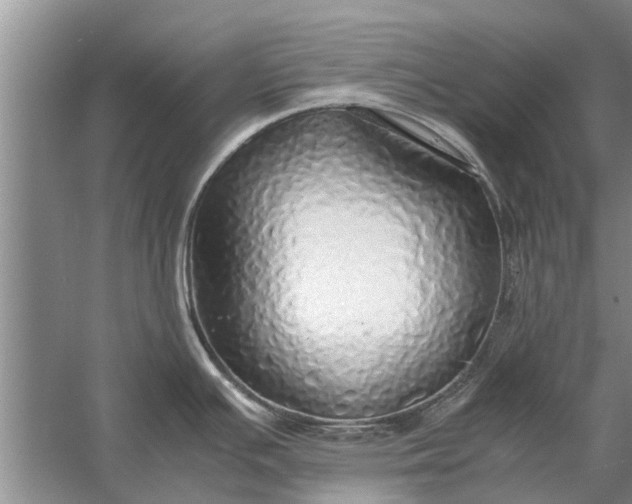 X0000058131391200510071954