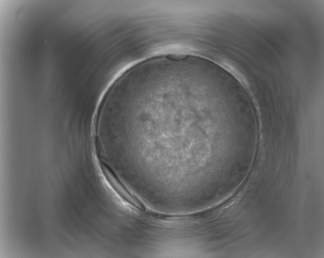 X0000058131392200510071954