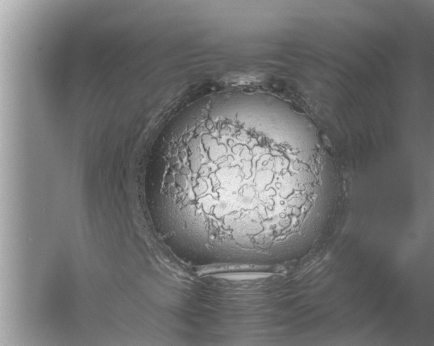 X0000058131393200510071953