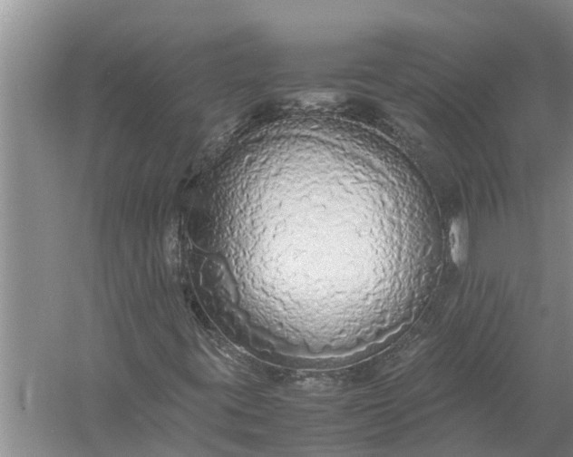 X0000058131395200510071953