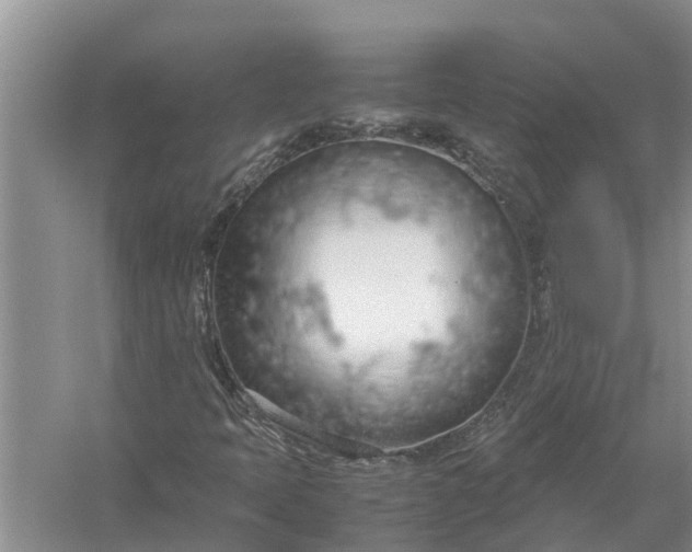 X0000058131397200510071953