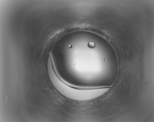 X0000058131398200510071953