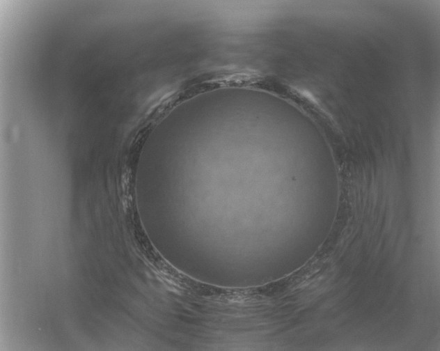 X0000058131399200510071953