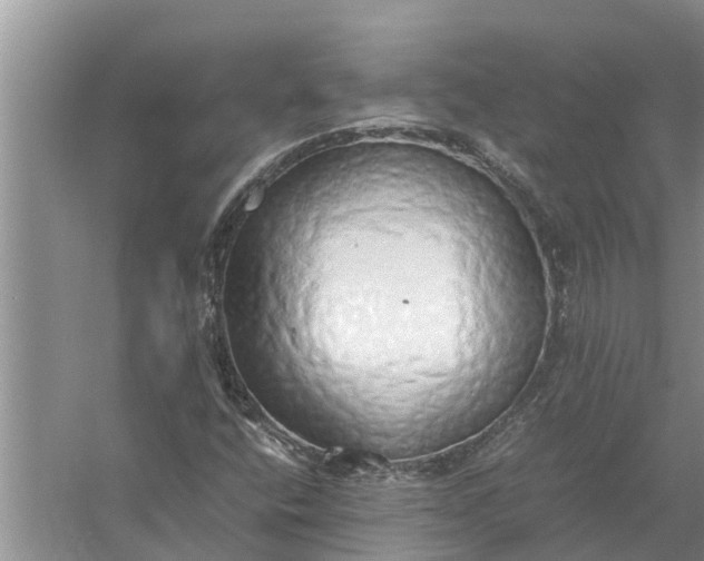 X0000058131400200510071953