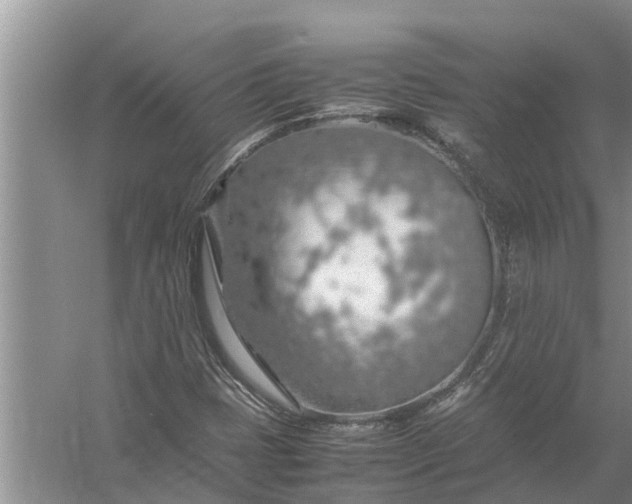 X0000058131401200510071953