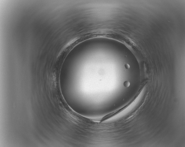 X0000058131402200510071953