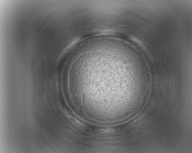 X0000058131403200510071953