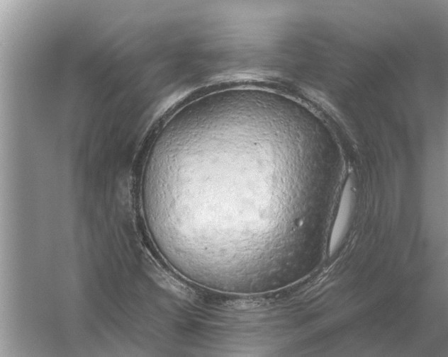 X0000058131404200510071953