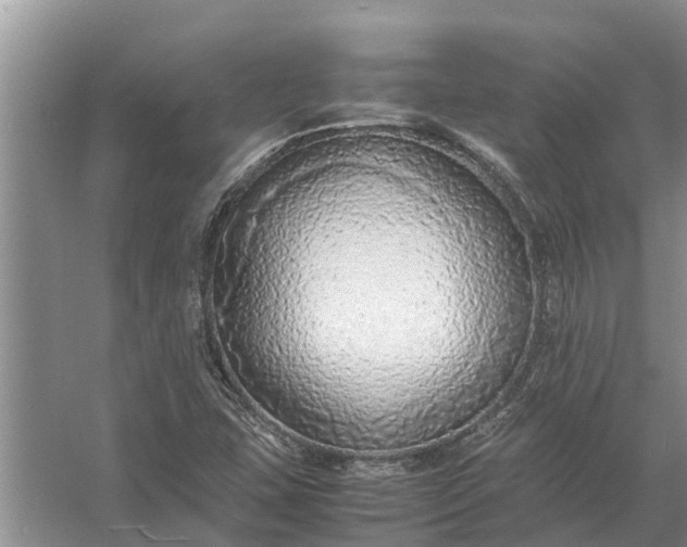 X0000058131407200510071953