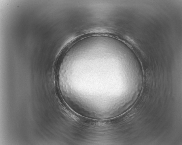 X0000058131408200510071953