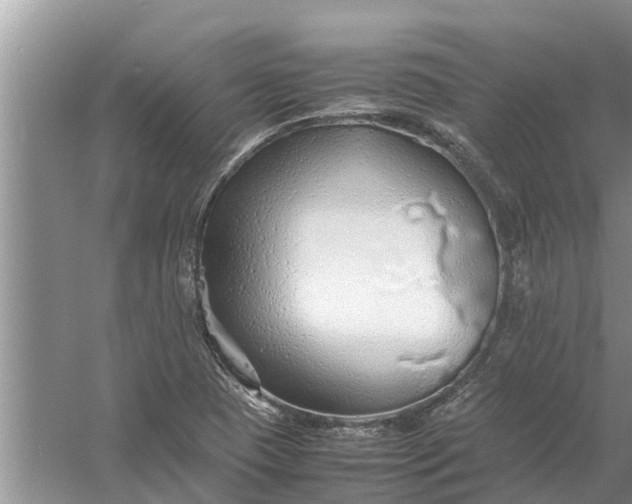 X0000058131409200510071953