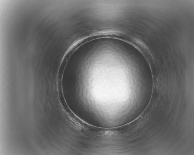 X0000058131412200510071953