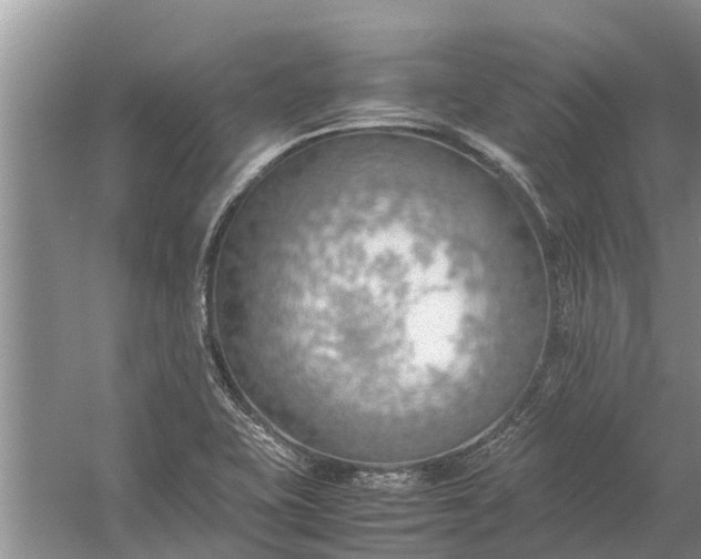 X0000058131415200510071953