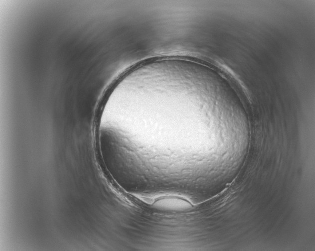 X0000058131416200510071953