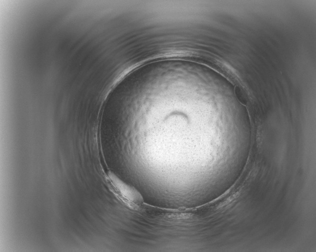 X0000058131417200510071953